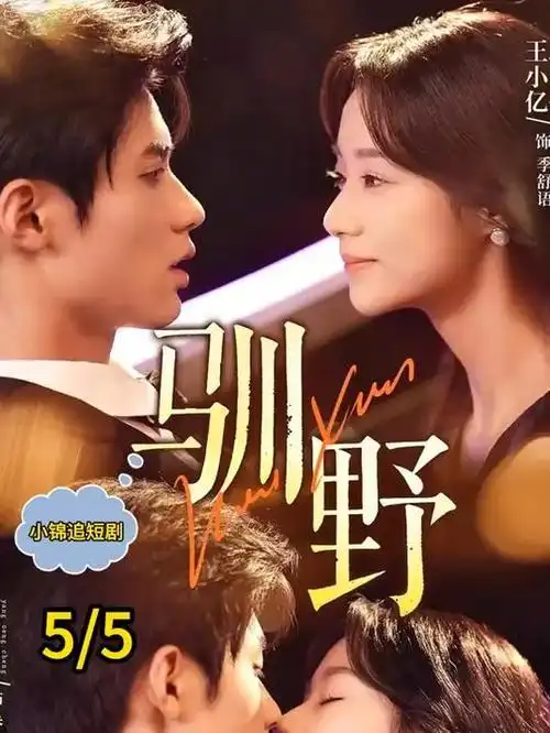 京都四季食堂 日剧在线观看